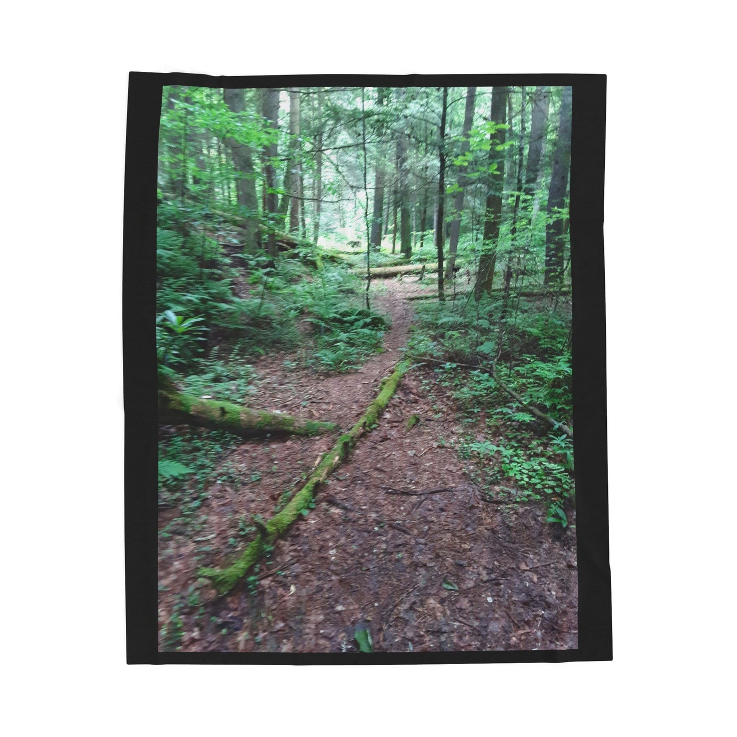 Forest Path Velveteen Plush Blanket — Cozy Woodland Throw for Nature Lovers