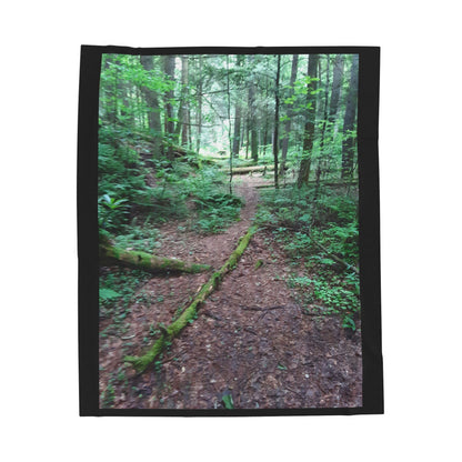 Forest Path Velveteen Plush Blanket — Cozy Woodland Throw for Nature Lovers