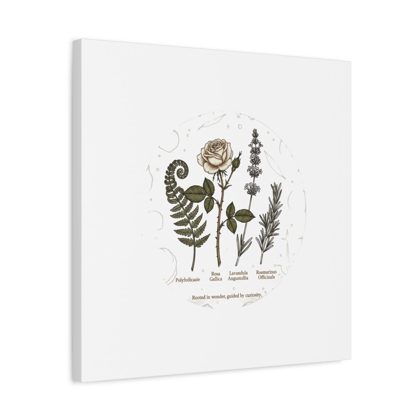Matte Canvas, Stretched, 1.25"