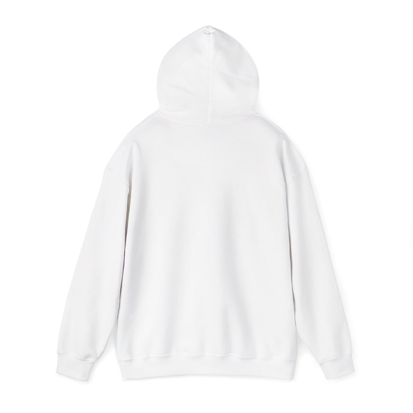 Rejoice in the Lord Hoodie - Light Colors – Christian Faith Pullover