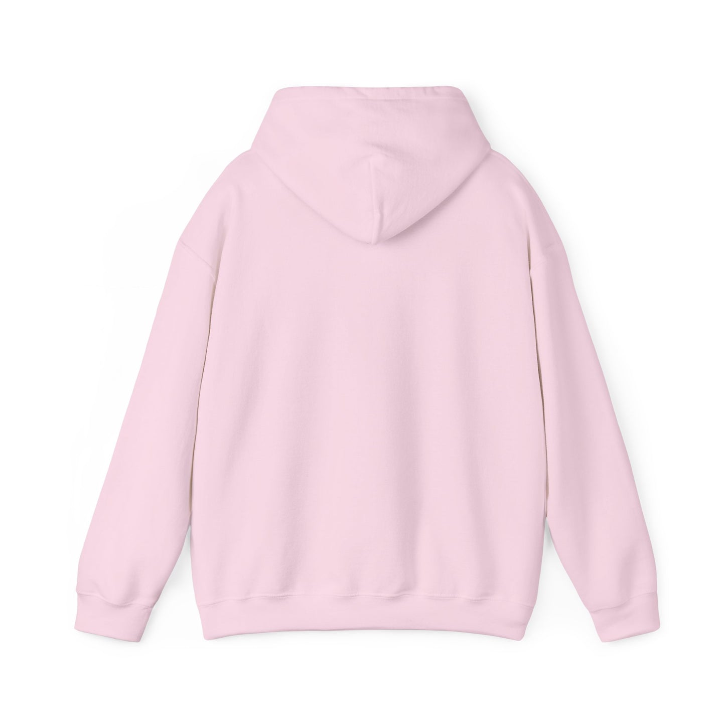 Rejoice in the Lord Hoodie - Light Colors – Christian Faith Pullover