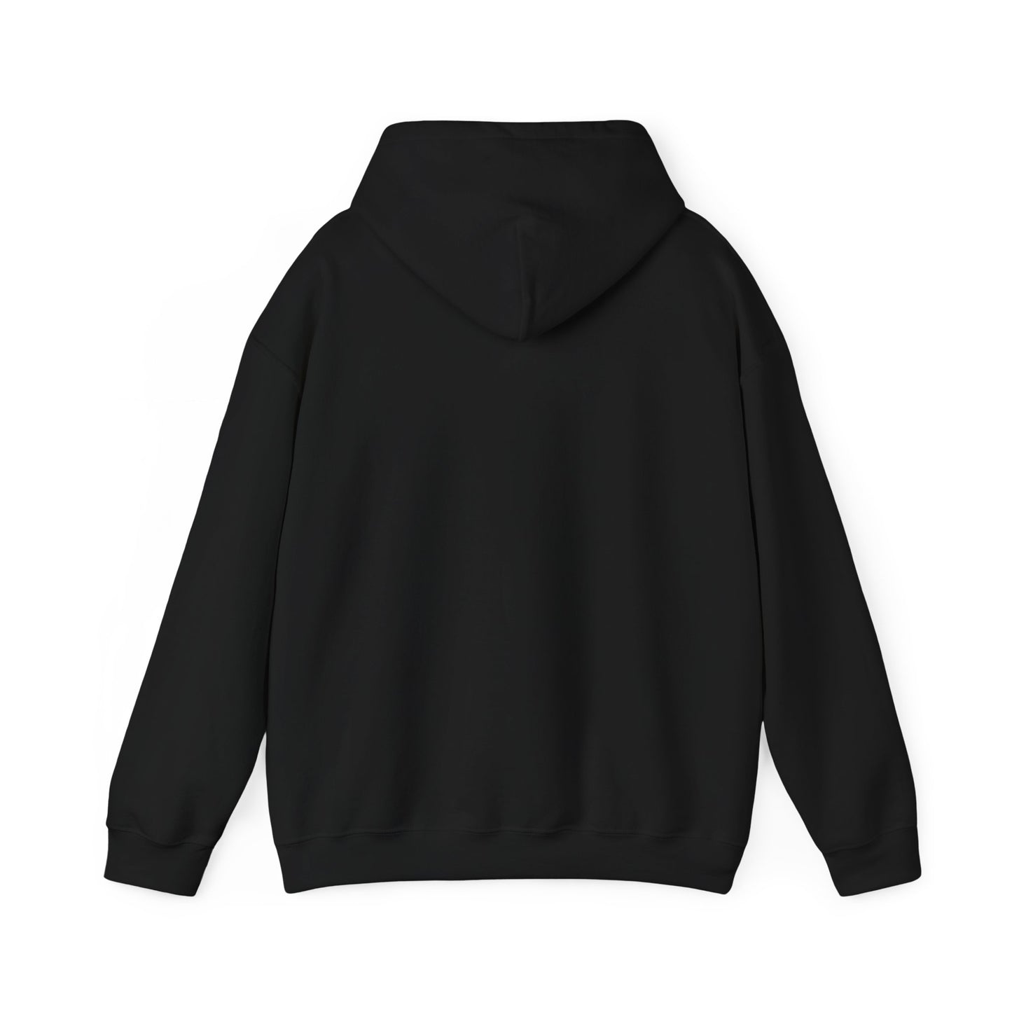 Rejoice in the Lord Hoodie - Dark Colors – Christian Faith Pullover