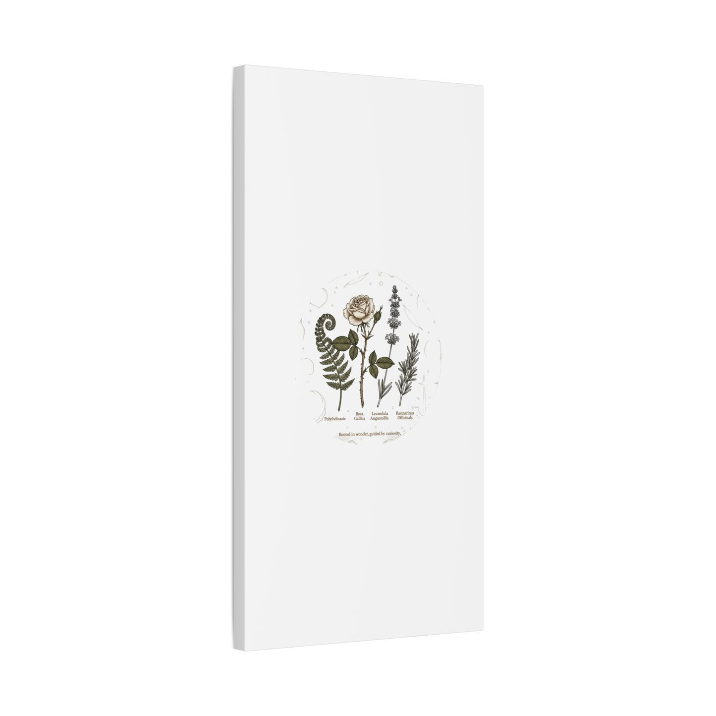Matte Canvas, Stretched, 1.25"