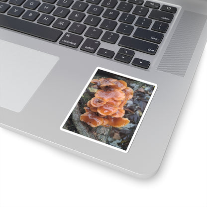 Mushroom Sticker — Orange Chicken of the Woods Nature Kiss-Cut Sticker