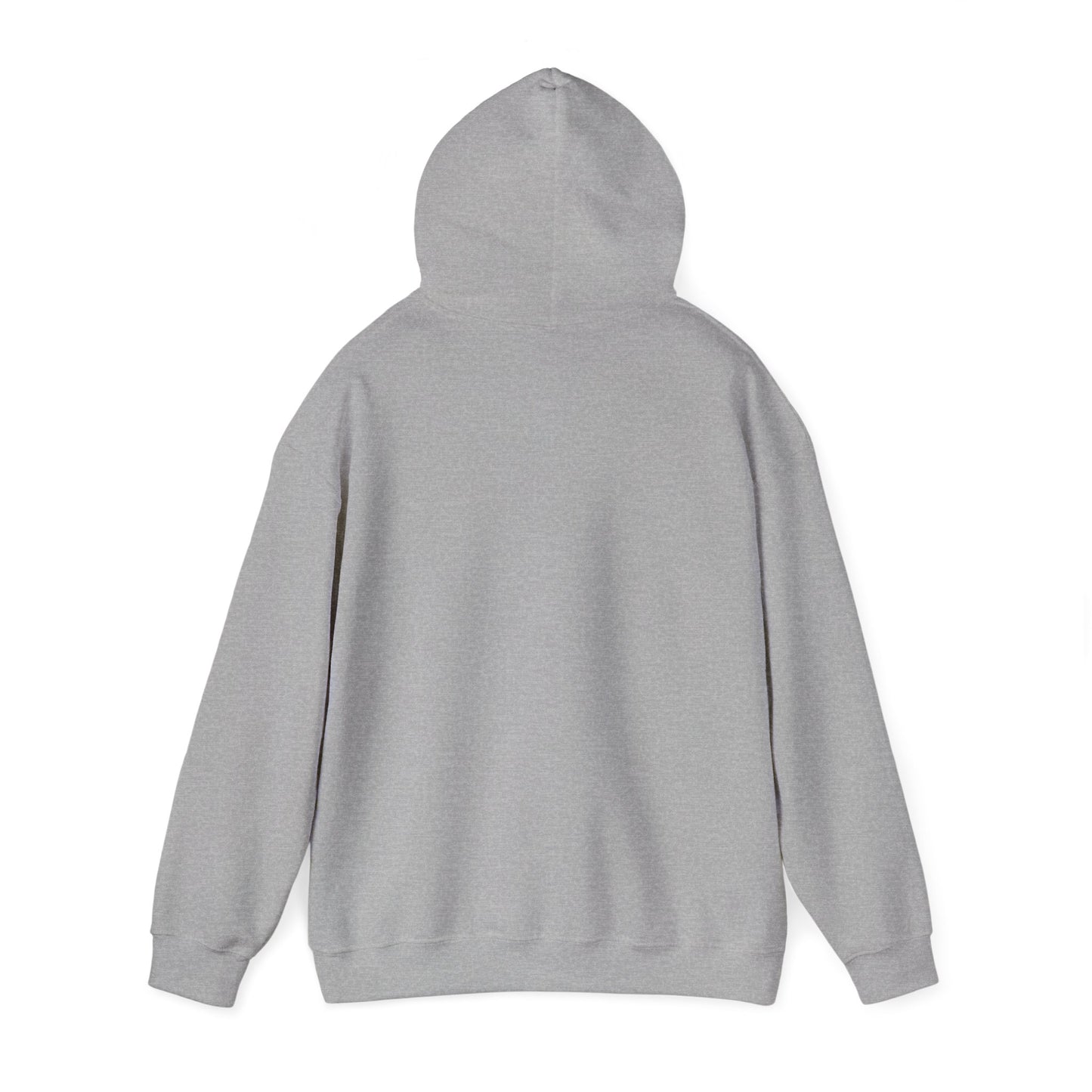 Rejoice in the Lord Hoodie - Light Colors – Christian Faith Pullover