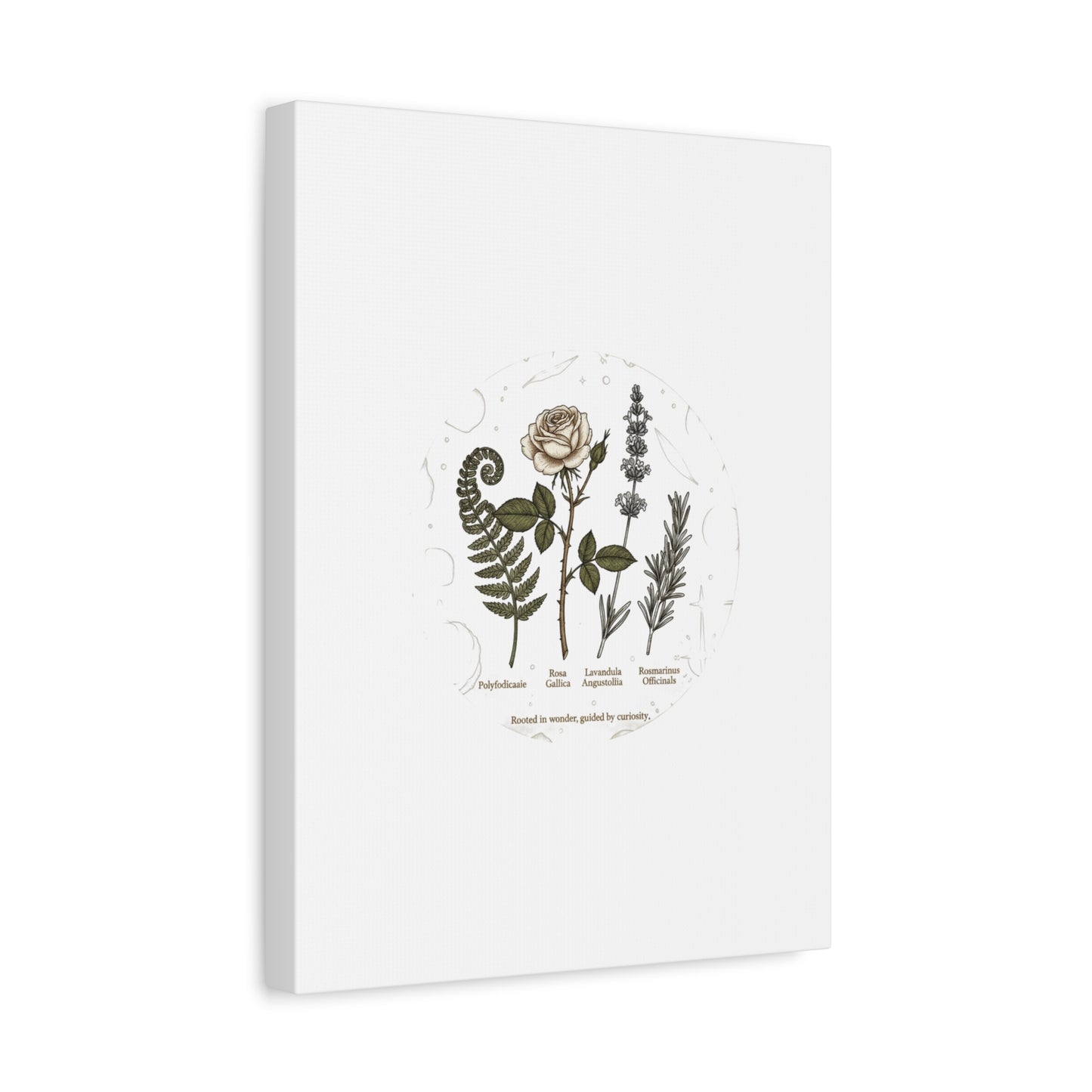 Matte Canvas, Stretched, 1.25"