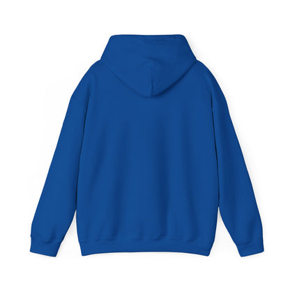 Rejoice in the Lord Hoodie - Dark Colors – Christian Faith Pullover