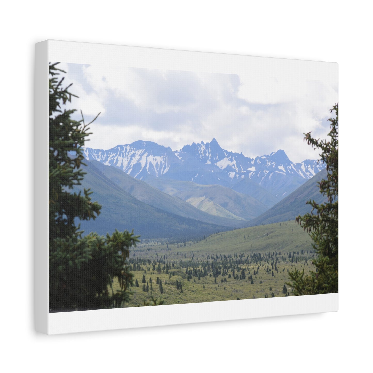 Matte Canvas, Stretched, 1.25"