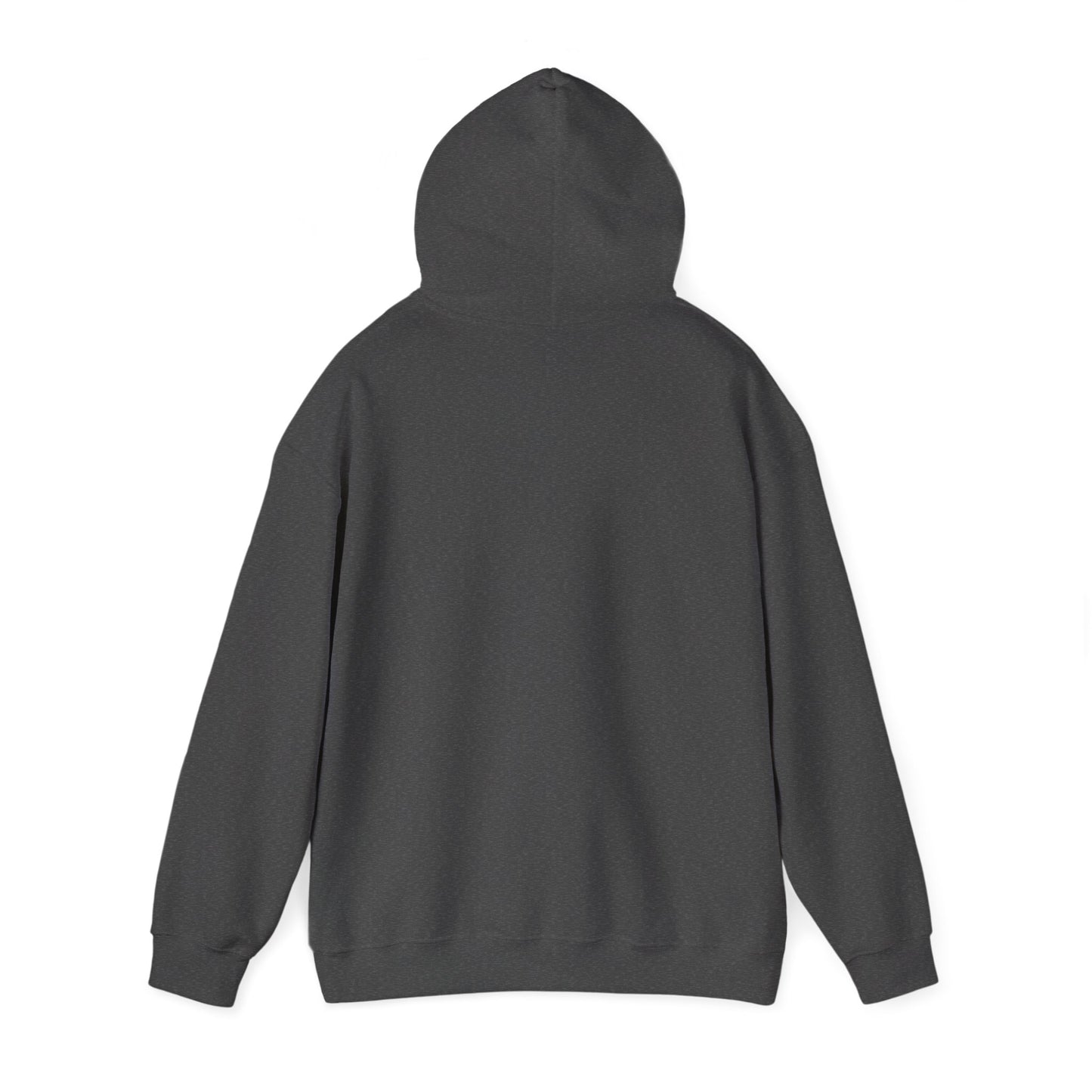 Rejoice in the Lord Hoodie - Dark Colors – Christian Faith Pullover