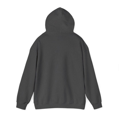 Rejoice in the Lord Hoodie - Dark Colors – Christian Faith Pullover