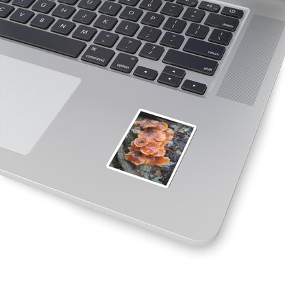 Mushroom Sticker — Orange Chicken of the Woods Nature Kiss-Cut Sticker