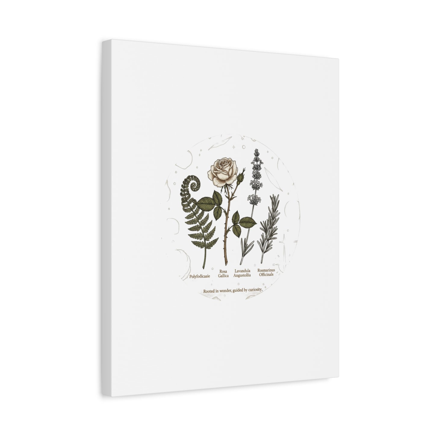Matte Canvas, Stretched, 1.25"