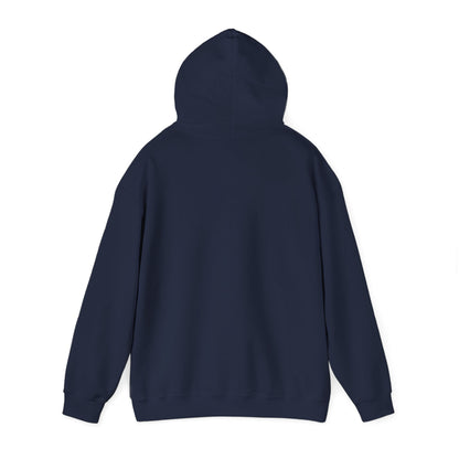 Rejoice in the Lord Hoodie - Dark Colors – Christian Faith Pullover