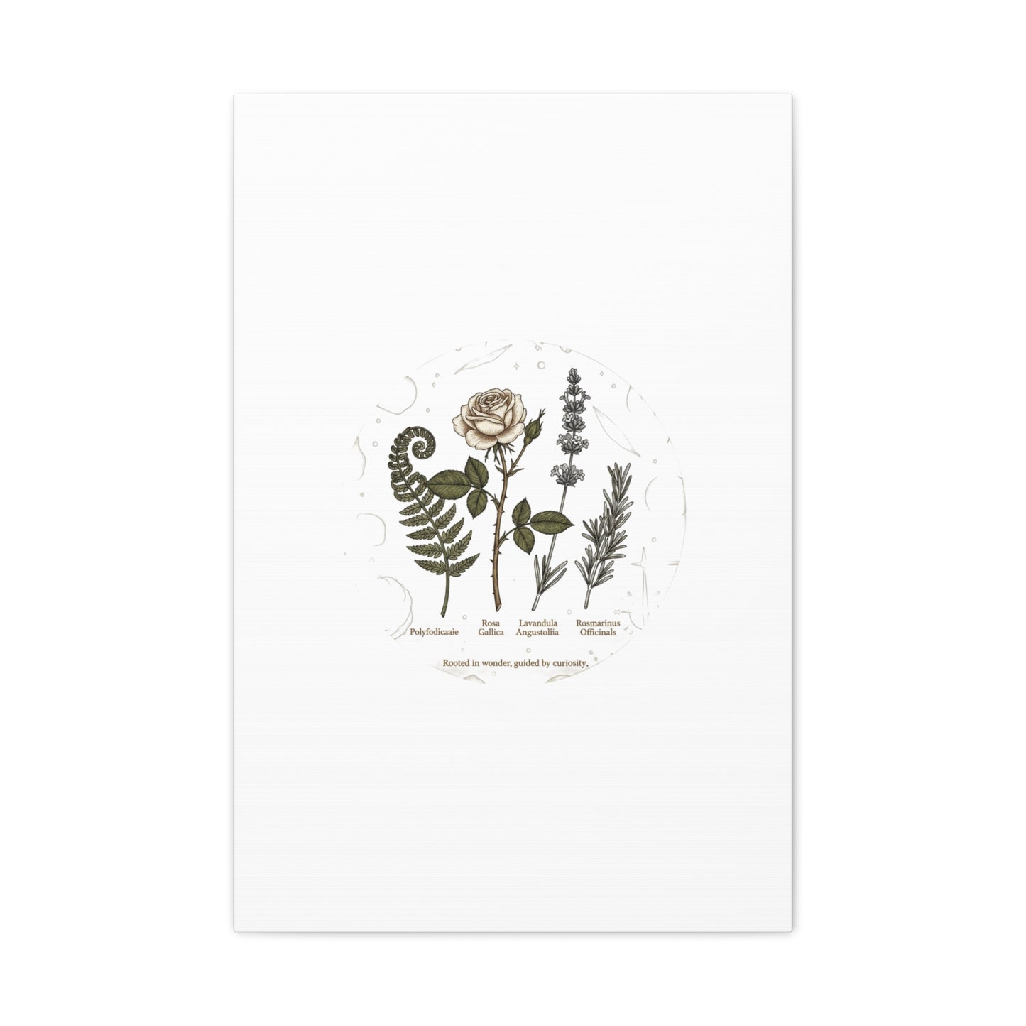 Matte Canvas, Stretched, 1.25"