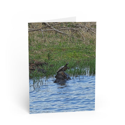 Greeting Card — Rustic Turtle Pond Photo Blank Note Card