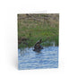 Greeting Card — Rustic Turtle Pond Photo Blank Note Card