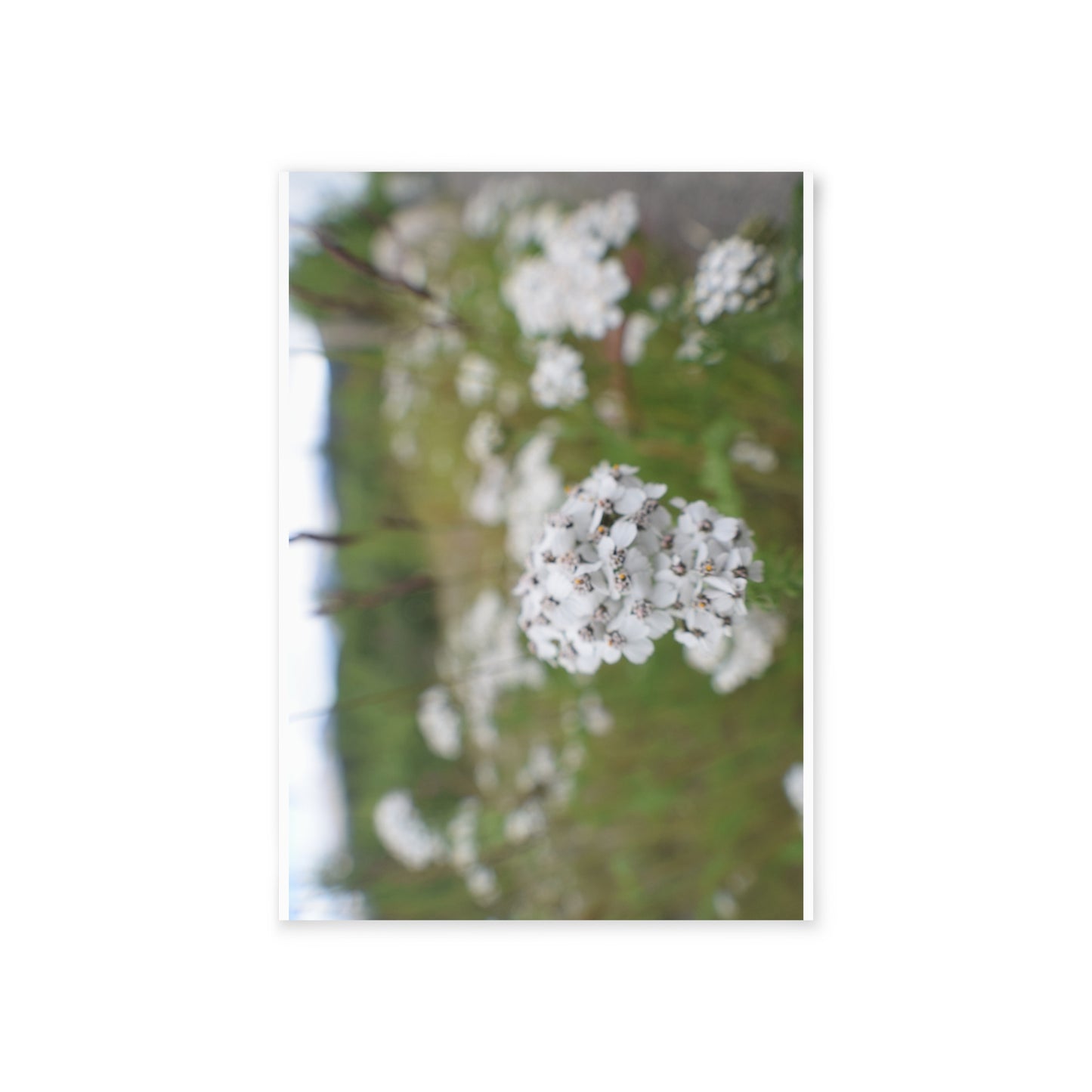 Floral Wildflower Holiday Card — White Field Bouquet One-Sided Greeting Card