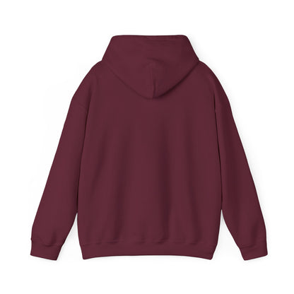 Rejoice in the Lord Hoodie - Dark Colors – Christian Faith Pullover