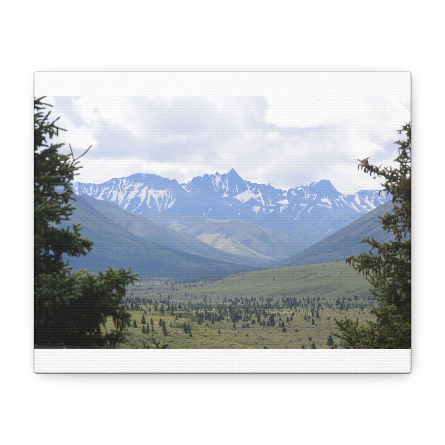 Matte Canvas, Stretched, 1.25"