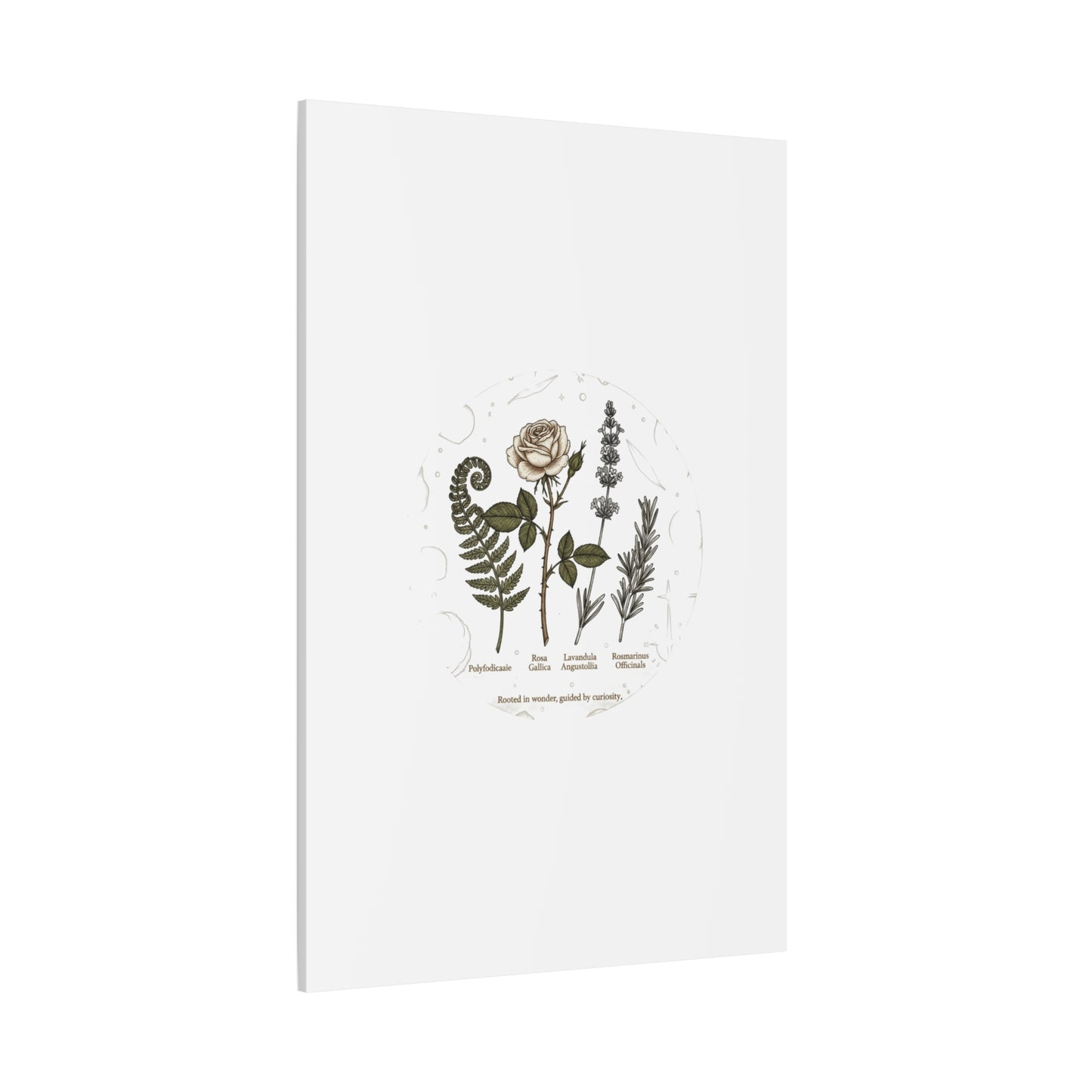 Matte Canvas, Stretched, 1.25"
