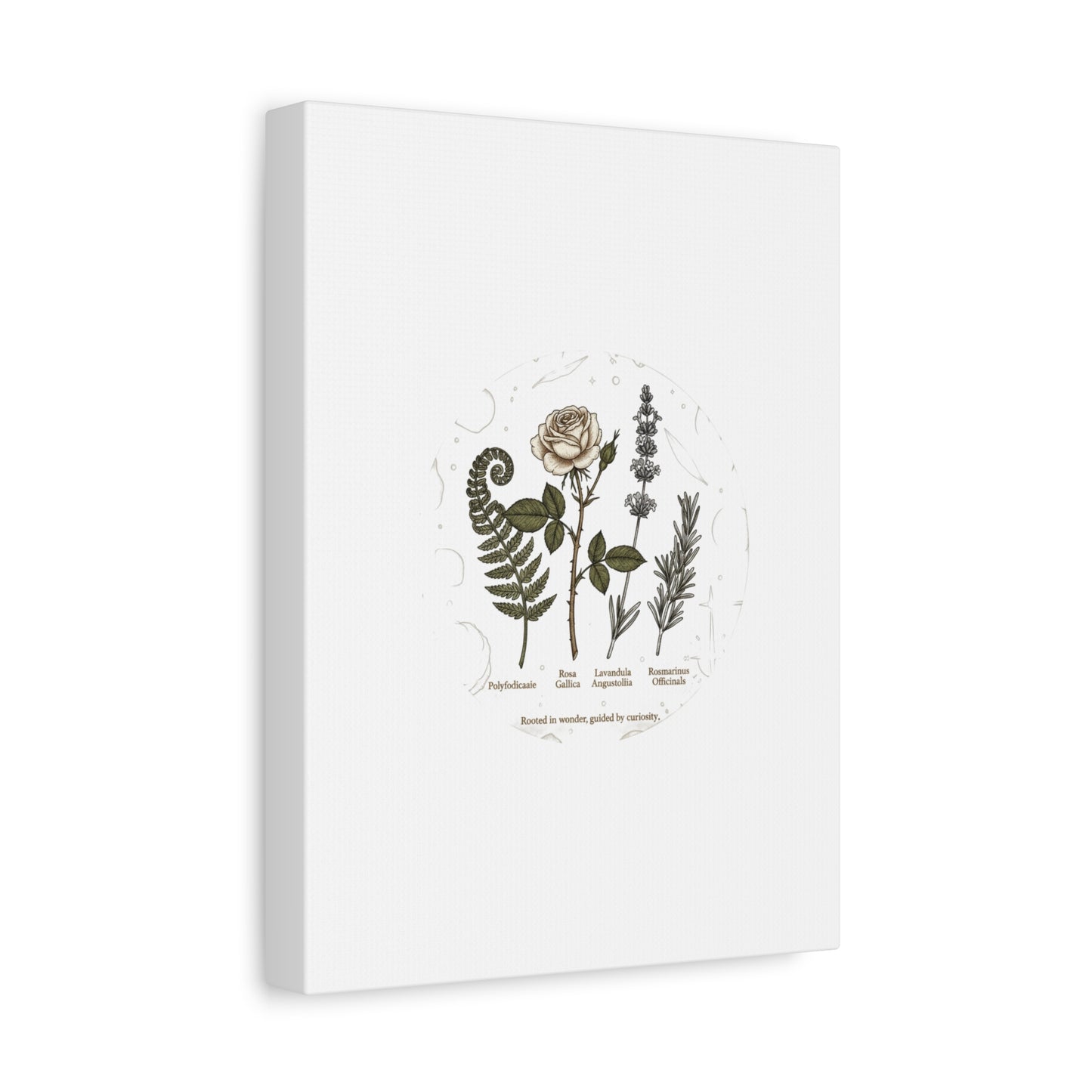 Matte Canvas, Stretched, 1.25"