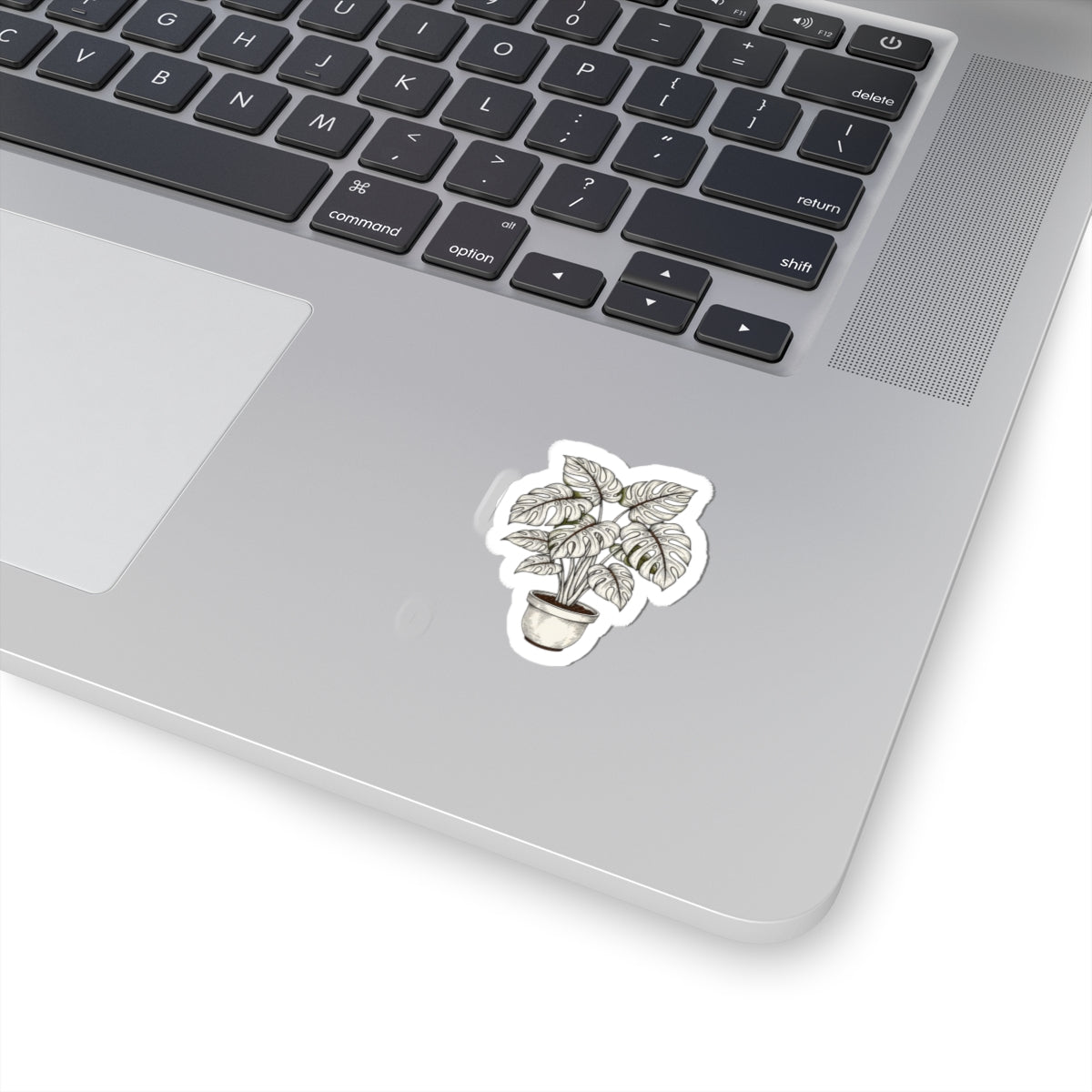 Moody Botanical Linework Plant Sticker | Herbarium Fine-Line Flora Kiss-Cut