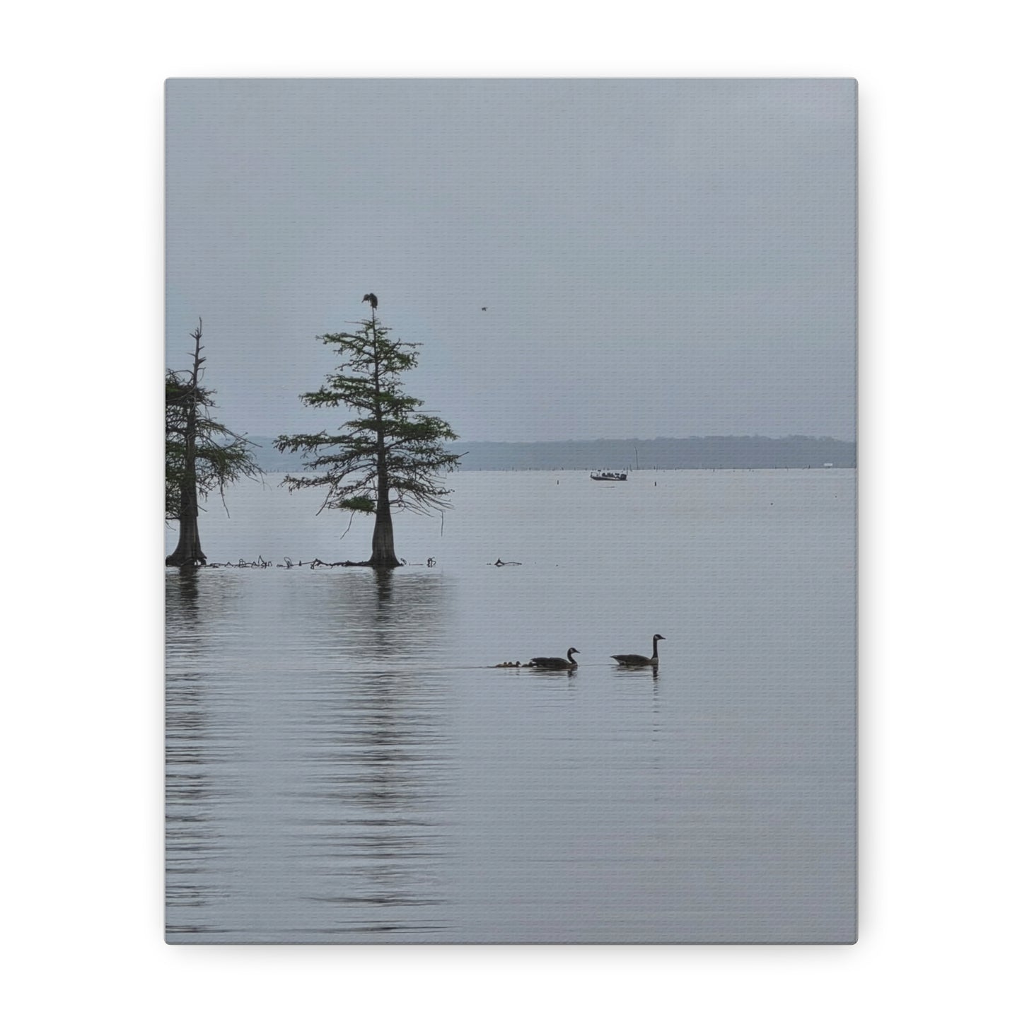 Tranquil Lake Canvas Print — Geese on Misty Water