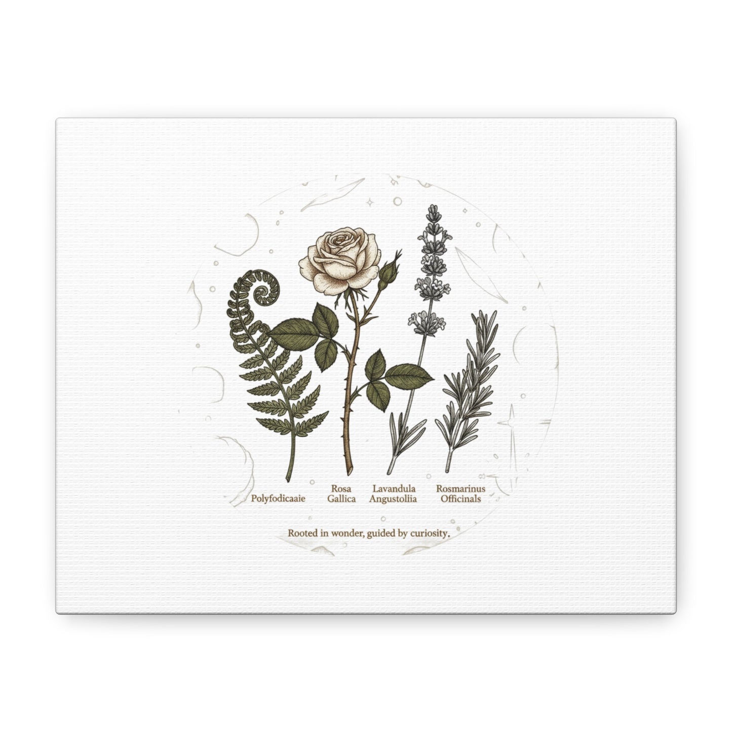Matte Canvas, Stretched, 1.25"