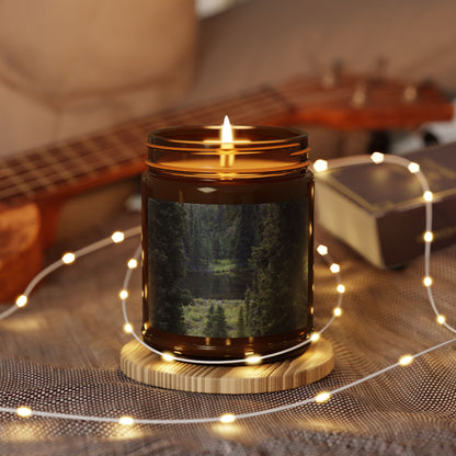Amber Jar Soy Candle — Forest Scented Aromatic Candle (Multiple Sizes)