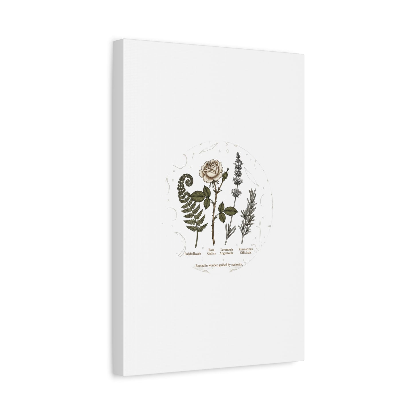 Matte Canvas, Stretched, 1.25"