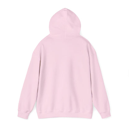 Rejoice in the Lord Hoodie - Light Colors – Christian Faith Pullover
