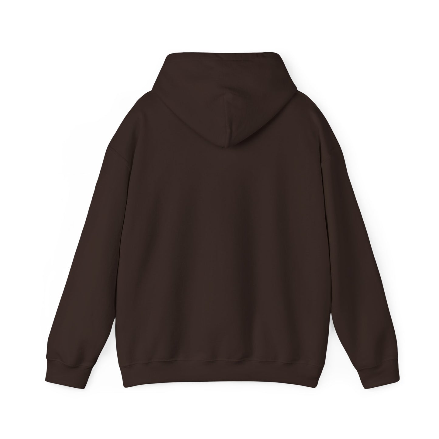 Rejoice in the Lord Hoodie - Dark Colors – Christian Faith Pullover