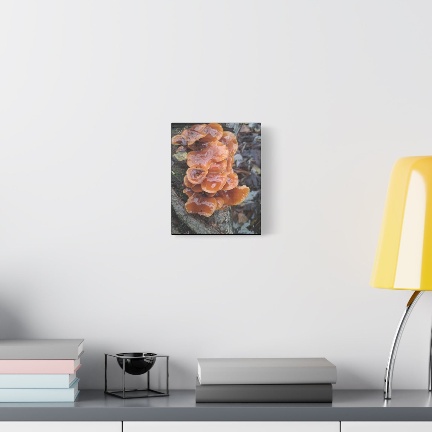Orange Shelf Mushroom Canvas Print — Rustic Nature Wall Art