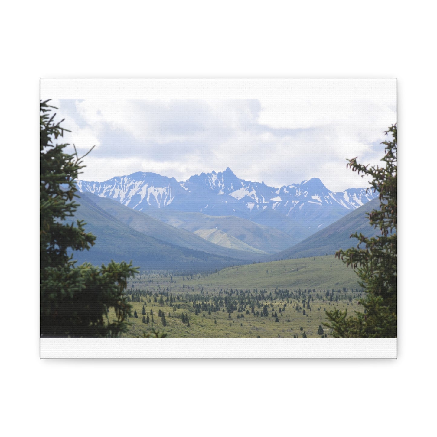Matte Canvas, Stretched, 1.25"