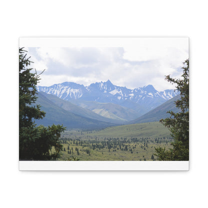 Matte Canvas, Stretched, 1.25"
