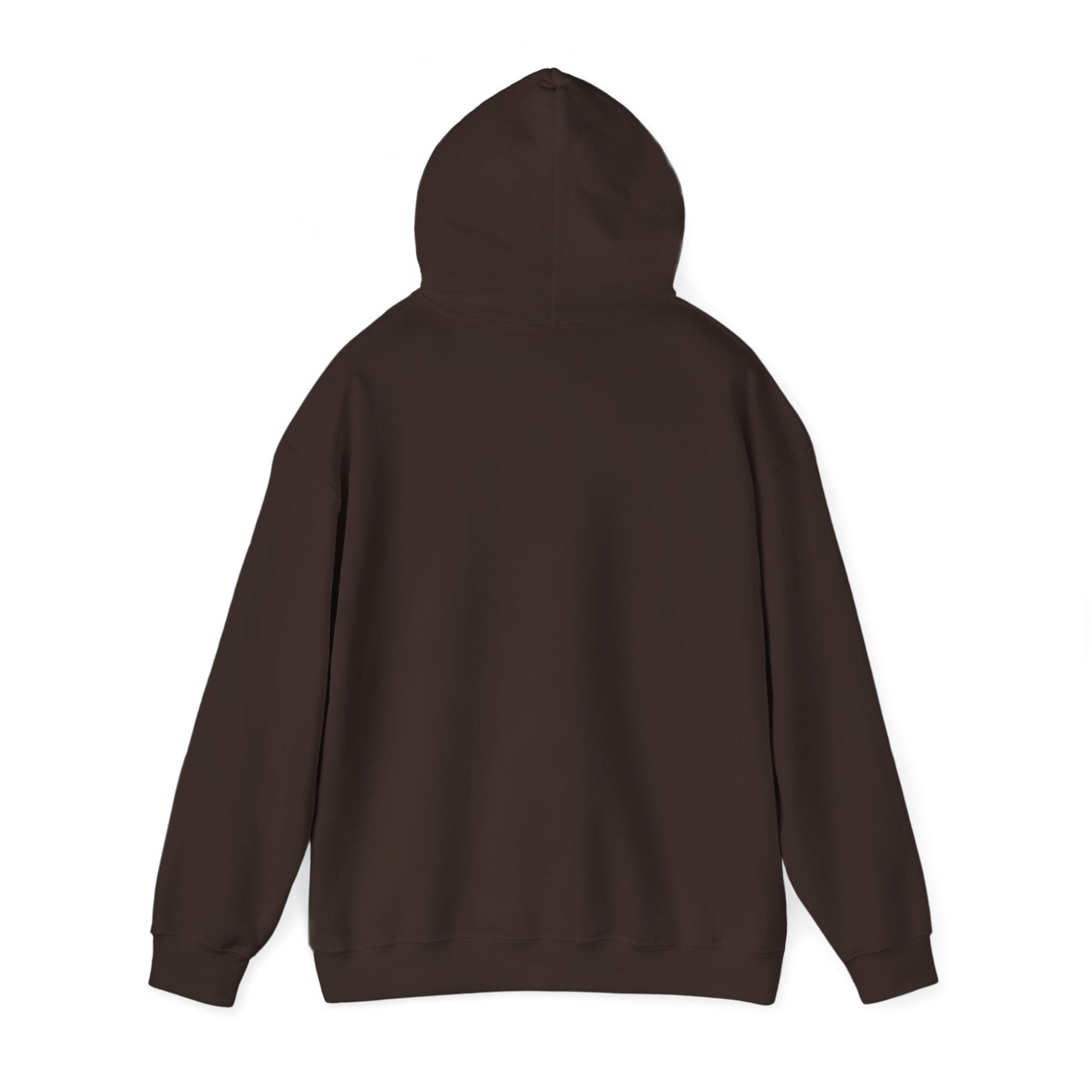 Rejoice in the Lord Hoodie - Dark Colors – Christian Faith Pullover