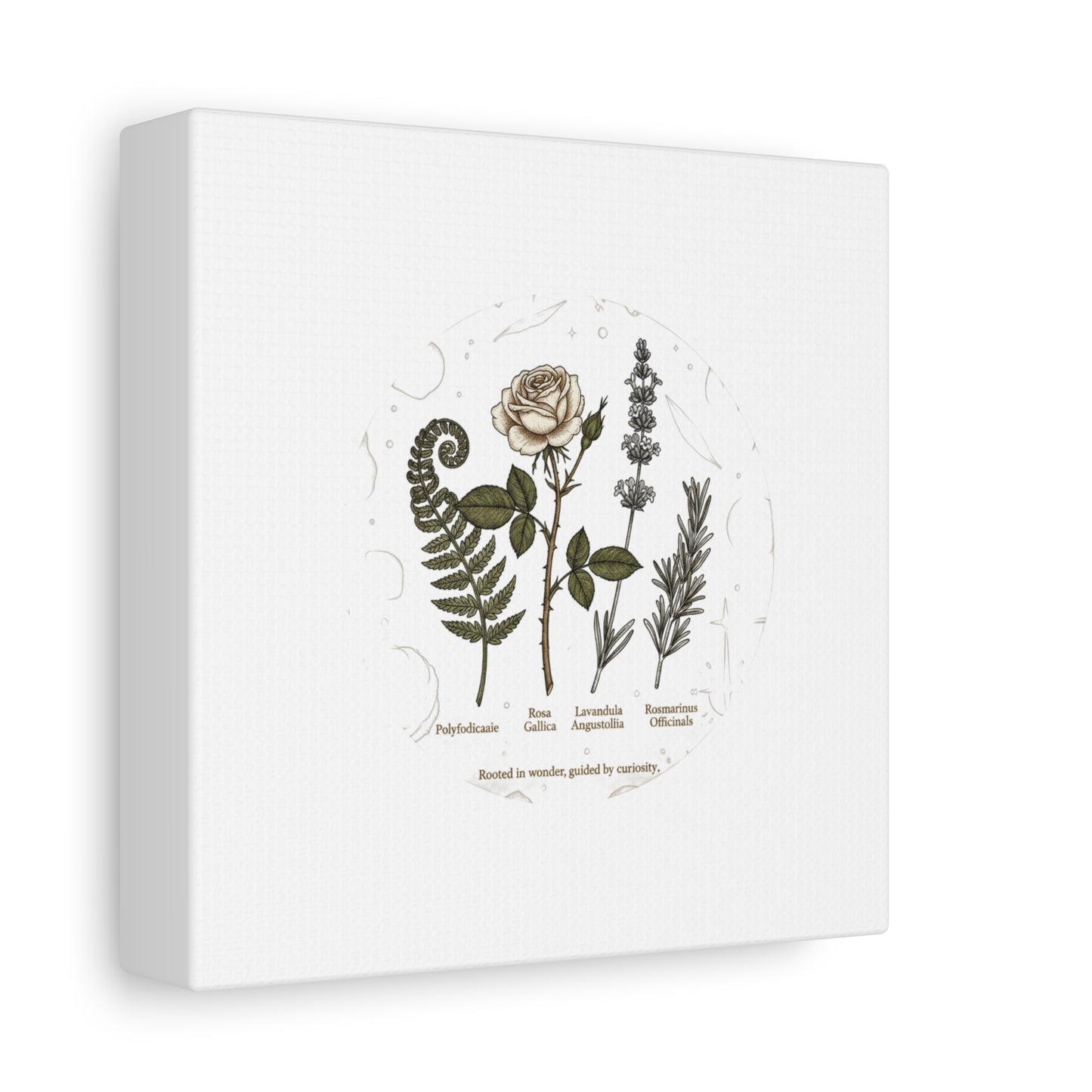 Matte Canvas, Stretched, 1.25"